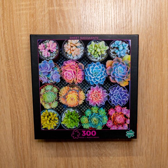 BOGO! 🧩🧩300 Piece - Sweet Succulents Puzzle -Complete - Picture 3 of 3